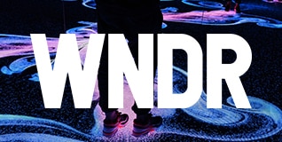 WNDR Museum logo